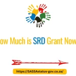 How Much is SRD Grant Now?