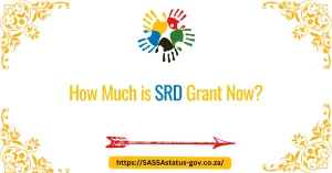 How Much is SRD Grant Now?